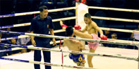 La boxe thailandaise