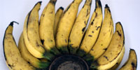 Banane Gluay